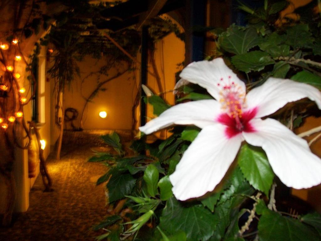 Villa Spyros Studios Santorini Perissa  Exterior foto